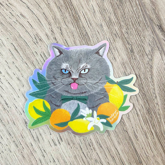 Lemon cat | Vinyylitarra